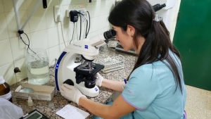 Búsqueda laboral en Salud de Neuquén: para más más de 100 vacantes en puestos sanitarios, técnicos y administrativos