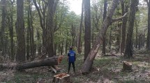 Imagen de Cerro Chapelco: la empresa está «desmantelando» el centro de esquí, a días de dejar la concesión