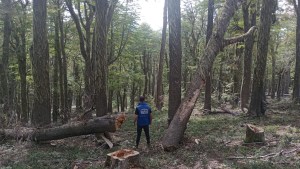 Cerro Chapelco: la empresa está «desmantelando» el centro de esquí, a días de dejar la concesión