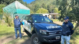 Secuestran más de 100 millones de pesos en marihuana en Villa Traful