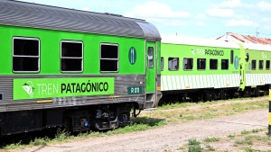 Río Negro tiene todo listo para renovar la concesión nacional del tren