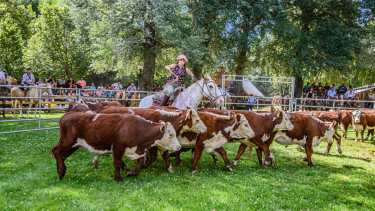 Agendá las próximas dos expo rurales que se realizarán en Junín de los Andes en Octubre 2025 y Enero 2026