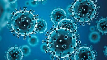 Confirmaron tres casos de influenza A (H3N2) en Argentina: la mayoría son en la Patagonia, qué se sabe