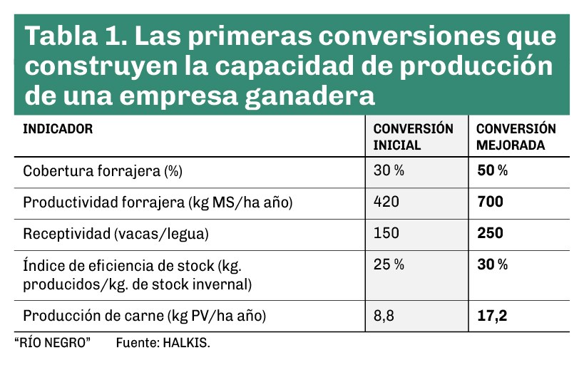 La tabla debe leerse de arriba hacia abajo. Cada indicador es consecuencia del anterior. A medida que mejora la capacidad del campo para producir forraje, aumenta la receptividad, mejora el desempeño del stock y crece la producción de carne por hectárea.