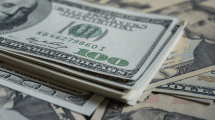 Imagen de Dólar blue en Neuquén: a cuánto se comercializa este viernes 29 de noviembre de 2024